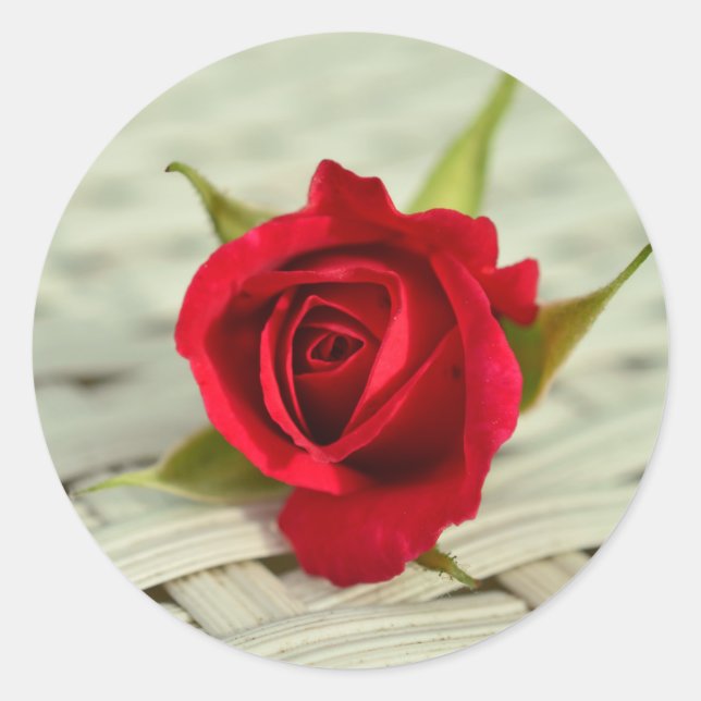 Rote Rose Aufkleber-Umschlag Aufkleber (Vorderseite)