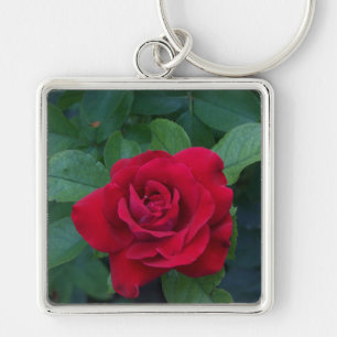 Rote Rose aus der Nähe Schlüsselanhänger