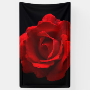 Rote Rose Banner