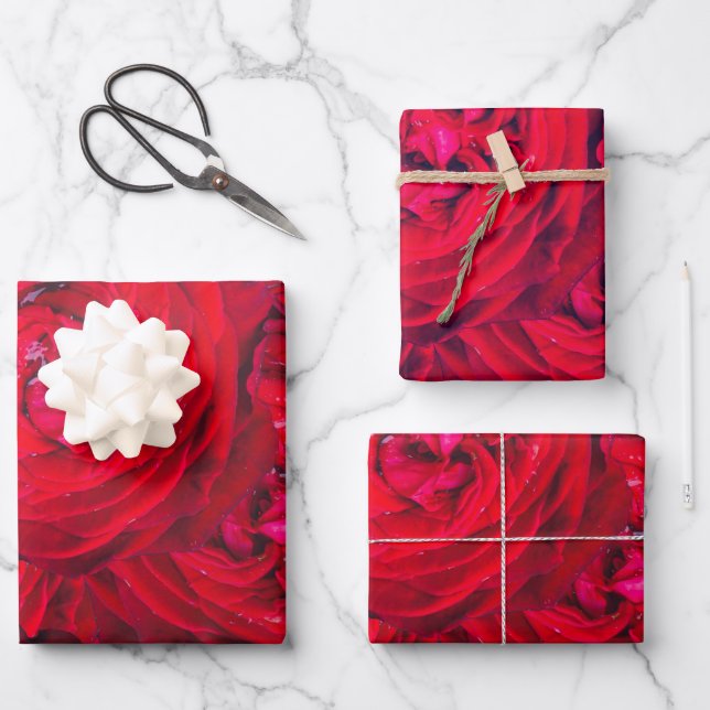 Rote Rose blüht mit Abtropfen - Fotografie Geschenkpapier Set (Vorderseite)