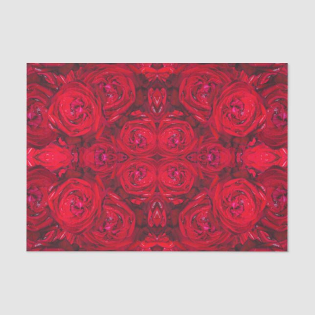 Rote Rose blüht mit Abtropfen - Fotografie Seidenpapier (Vorderseite)