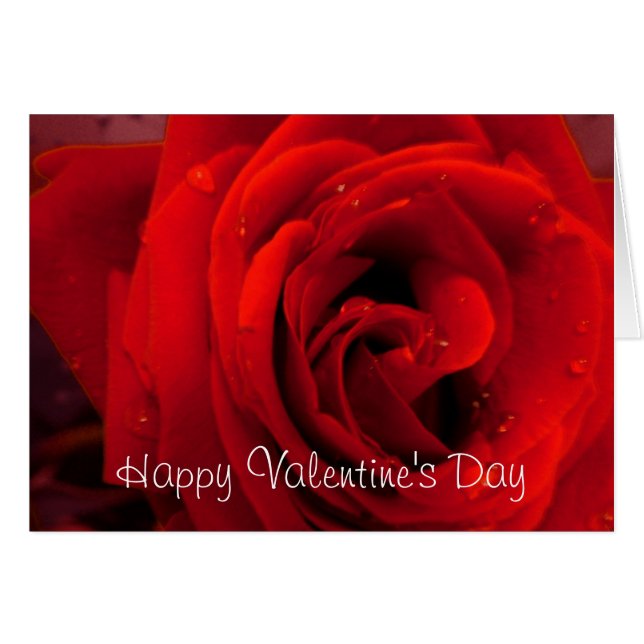 Rote Rose Blume (Vorderseite (Horizontal))