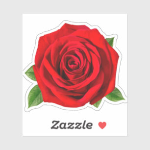 Rote Rose Blume Aufkleber