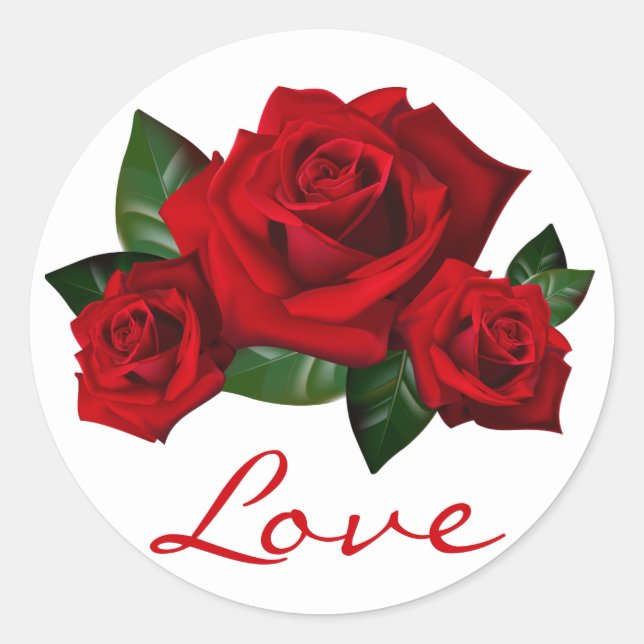 Rote Rose Blume Blumenzwiebelfeier Liebe Runder Aufkleber (Vorderseite)