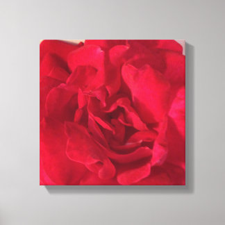 Rote Rose Blume Foto Schließen Leinwanddruck