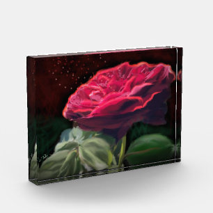 Rote Rose Blume Grüne Schwarze Kunst Blume Fotoblock