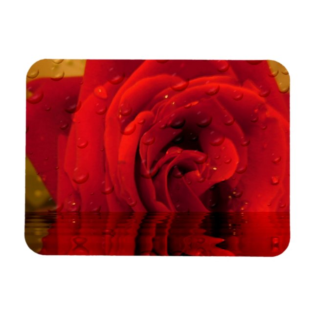 rote Rose Blume Magnet (Horizontal)