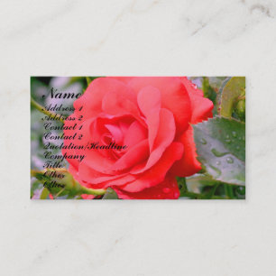 rote Rose Blume - Natureprofil-Visitenkarte Visitenkarte