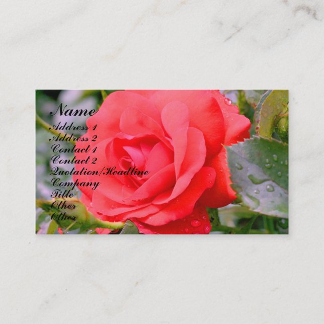 rote Rose Blume - Natureprofil-Visitenkarte Visitenkarte (Vorderseite)