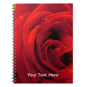 rote Rose Blume Notizblock