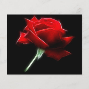 Rote Rose Blume Pflanze