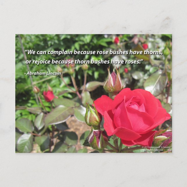 Rote Rose Blume Postkarte mit Danksagenszitat (Vorderseite)