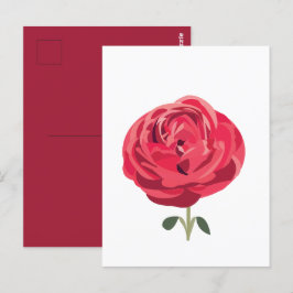 Rote Rose Blume Rote Rose Postkarte