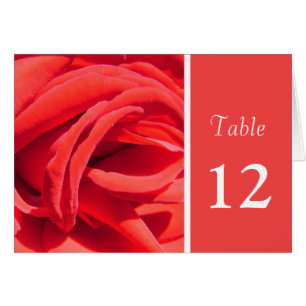 rote Rose Blume Tischnummer