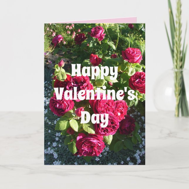 Rote Rose Blume Vintage Rose Karte (Vorderseite)