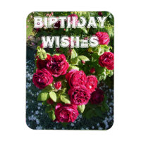Rote Rose Blumengarten Blumenstrauß Geburtstag