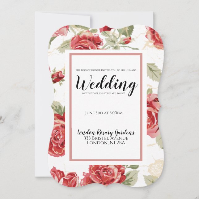 Rote Rose Blumenklassiker Ehrenhund Ankündigung (Vorderseite)