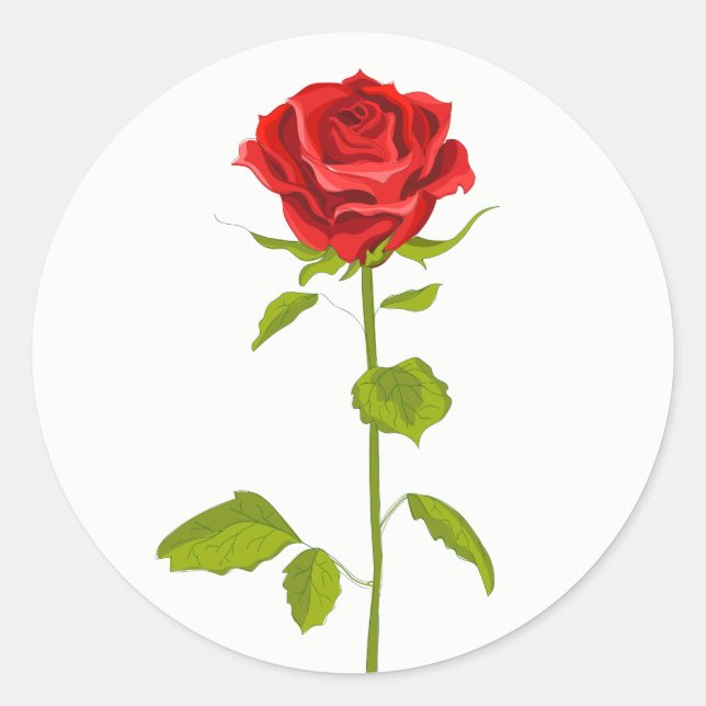 Rote Rose Blumenzwiebelgarten Romantischer Garten Runder Aufkleber (Vorderseite)