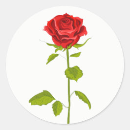 Rote Rose Blumenzwiebelgarten Romantischer Garten Runder Aufkleber