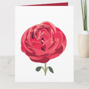 Rote Rose Blüten Florale Rote Rose Grußkarte Karte