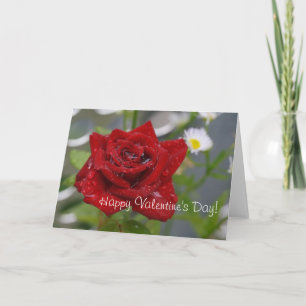 Rote Rose Bud Feiertagskarte