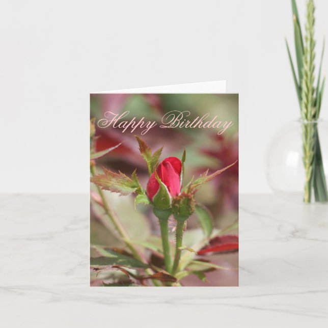 Rote Rose Bud Happy Birthday Card Karte (Vorderseite)