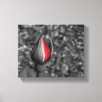 Rote Rose Bud Leinwand