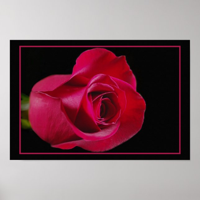 Rote Rose Bud Print Poster (Vorne)
