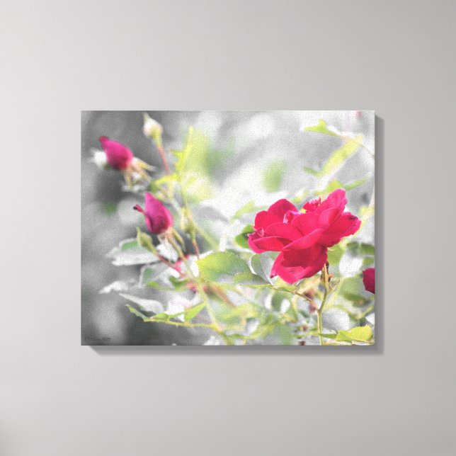 Rote Rose Bush Stretched Canvas Print Leinwanddruck (Vorderseite)