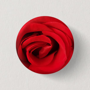 Rote Rose Button