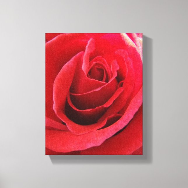 Rote Rose Canvas Print Leinwanddruck (Vorderseite)