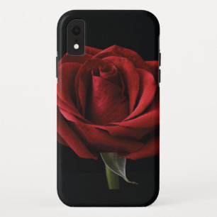 Rote Rose Case-Mate iPhone Hülle