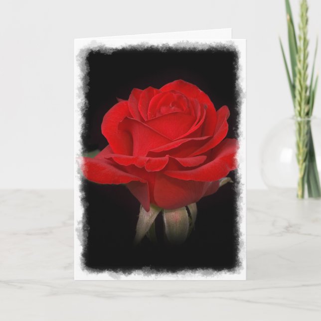 Rote Rose Dankeschön Karte (Vorderseite)