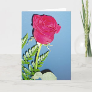 "Rote Rose" Dankeschön Karte