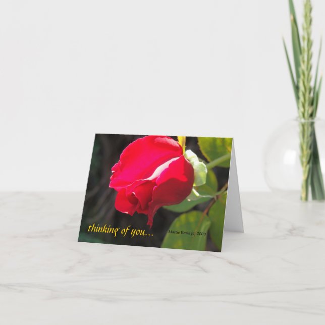 Rote Rose - Denken Sie an Sie - CA GardensCard Karte (Vorderseite)