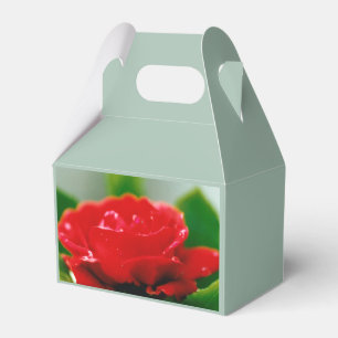 Rote Rose der Leidenschaft bedeckt mit Tautropfen Geschenkschachtel