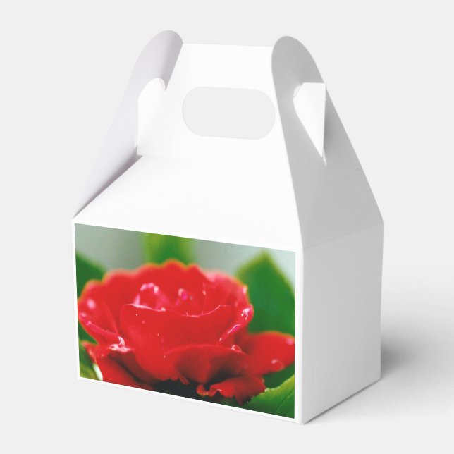Rote Rose der Leidenschaft mit Taubstropfen Geschenkschachtel (Vorderseite)