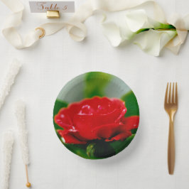 Rote Rose der Leidenschaft mit Taubstropfen Pappteller
