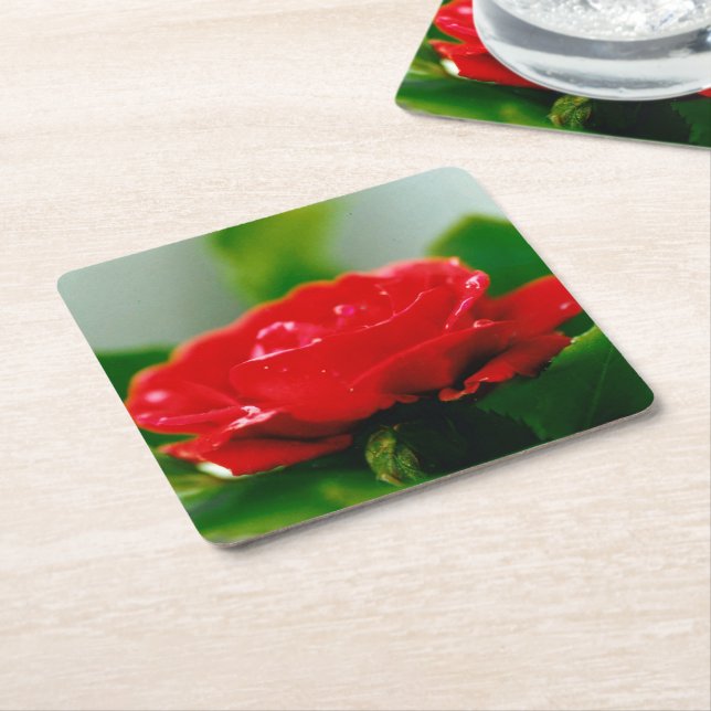 Rote Rose der Leidenschaft mit Taubstropfen Rechteckiger Pappuntersetzer (angewinkelt)