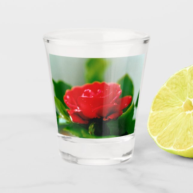 Rote Rose der Leidenschaft mit Taubstropfen Schnapsglas (Vorderseite)