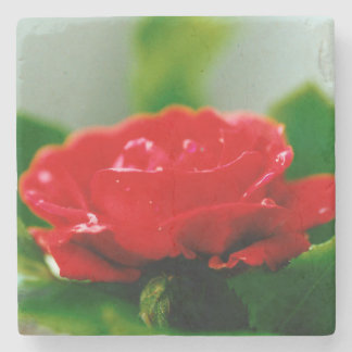 Rote Rose der Leidenschaft mit Taubstropfen Steinuntersetzer