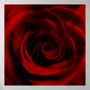 Rote Rose der Liebe Poster