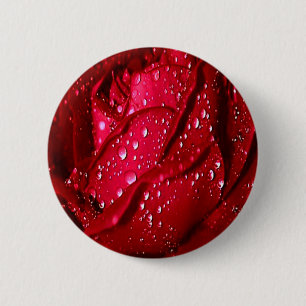 Rote Rose des Single im Regen Button