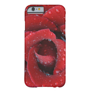 rote Rose, die mit einem Tief bedeckt ist und Grab Barely There iPhone 6 Hülle