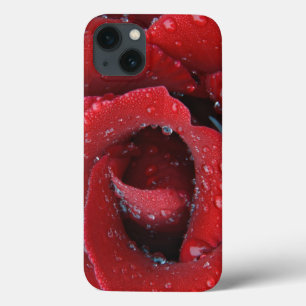 rote Rose, die mit einem Tief bedeckt ist und Grab title_seo2