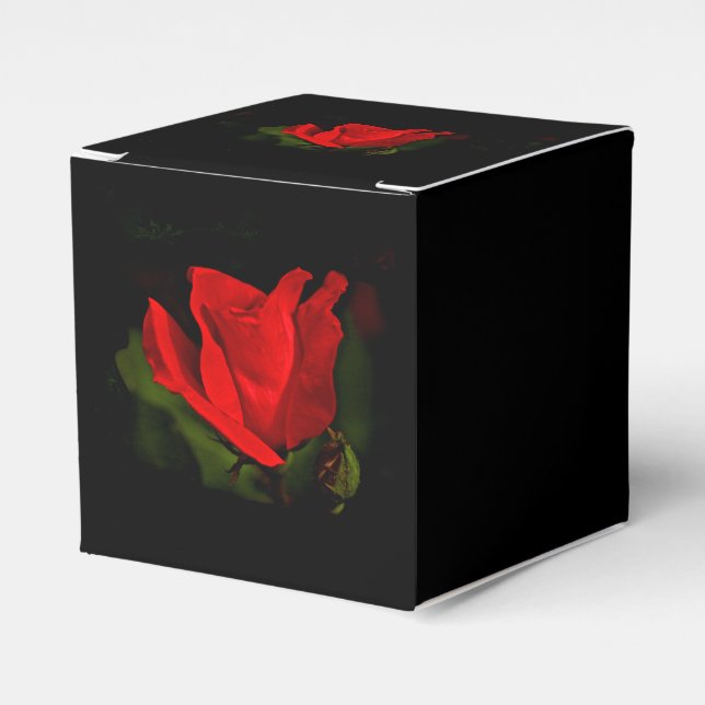 Rote Rose - dunkle Leidenschaft Geschenkschachtel (Vorderseite)