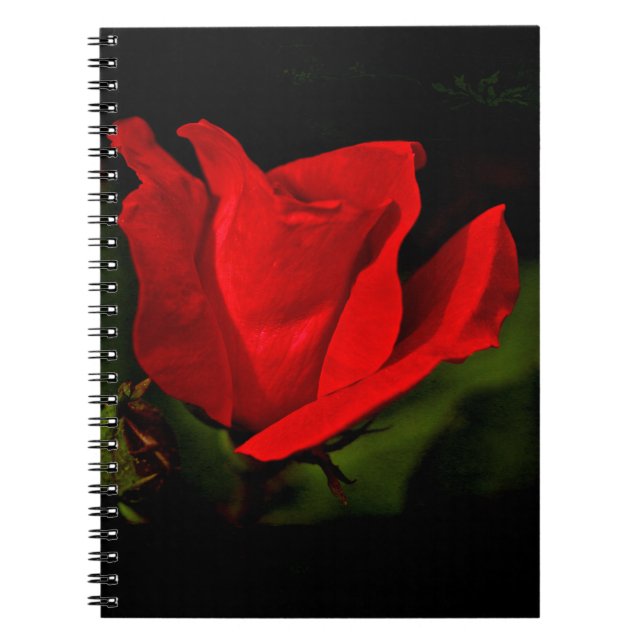 Rote Rose - dunkle Leidenschaft Notizblock (Vorderseite)