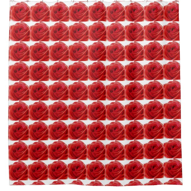 Rote Rose Duschvorhang (Vorderseite)