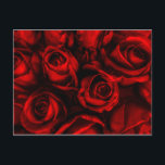 Rote Rose Elegante Postkarte<br><div class="desc">Diese rote Rosen sind dramatisch und elegant. Zeitloses Symbol für Liebe und Leidenschaft. Im Inneren ist leer und bereit für Sie,  um Ihre Wünsche anzupassen. Die passende Portografie ist ebenfalls verfügbar.</div>