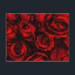 Rote Rose Elegante Postkarte<br><div class="desc">Diese rote Rosen sind dramatisch und elegant. Zeitloses Symbol für Liebe und Leidenschaft. Im Inneren ist leer und bereit für Sie,  um Ihre Wünsche anzupassen. Die passende Portografie ist ebenfalls verfügbar.</div>